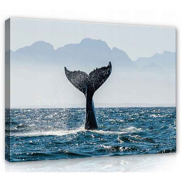 Obraz Na Plátně Canvas 100x75 Velryba Ocas Voda
