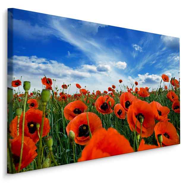 Plátno Kvetoucí Máky Na Louce 3D Varianta: 90x60