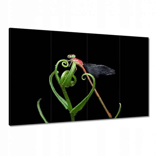 Obrazy 120x80 Vážka na zeleném listu
