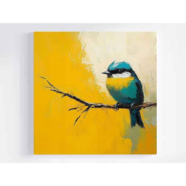 Obraz Na Plátně Canvas Ptáček Sikorka Fauna Příroda 50x50