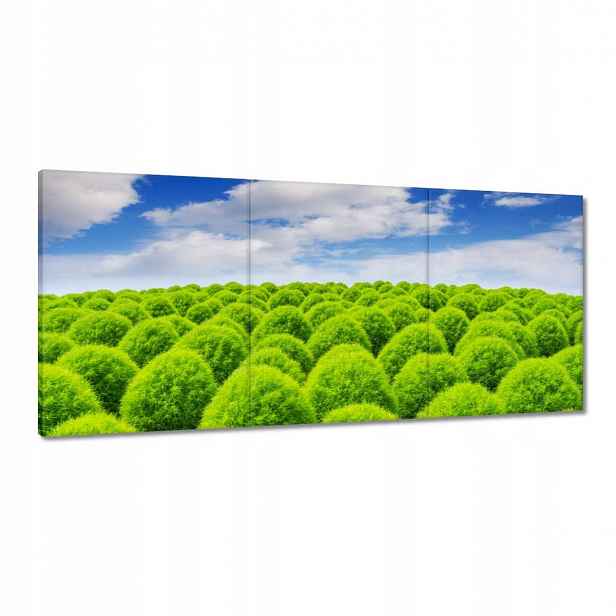 Obrazy 150x70 Zelený pohled Dolina