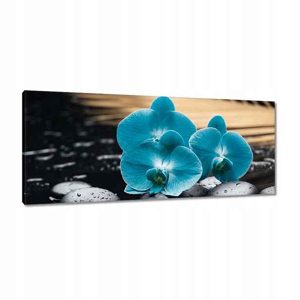 Obrazy 100x40 Tyrkysový orchidej Květina