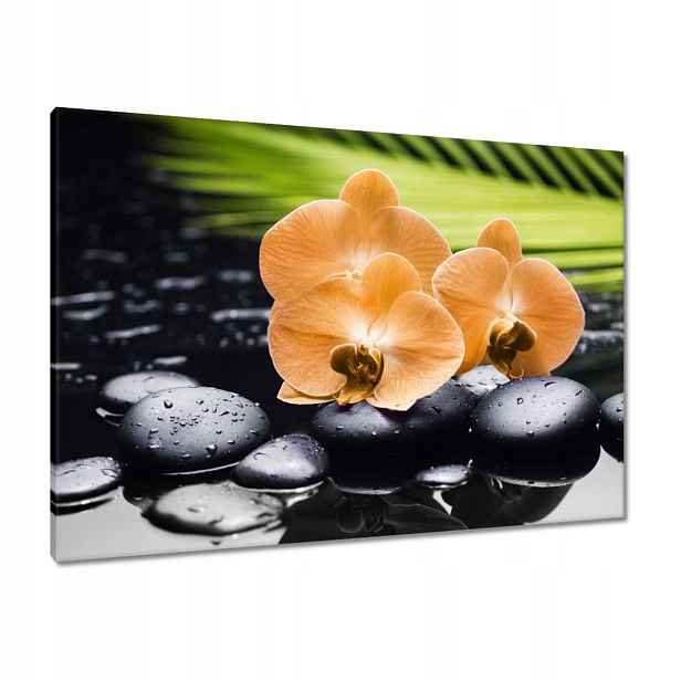 Obrazy 100x70 Oranžové orchideje