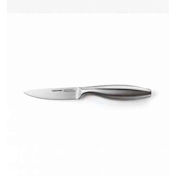 Nůž Tupperware 14 cm Přesný Nerezová Ocel pro Zeleniny a ovoce