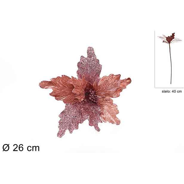 PROHOME - Hvězda vánoční zápich 40cm
