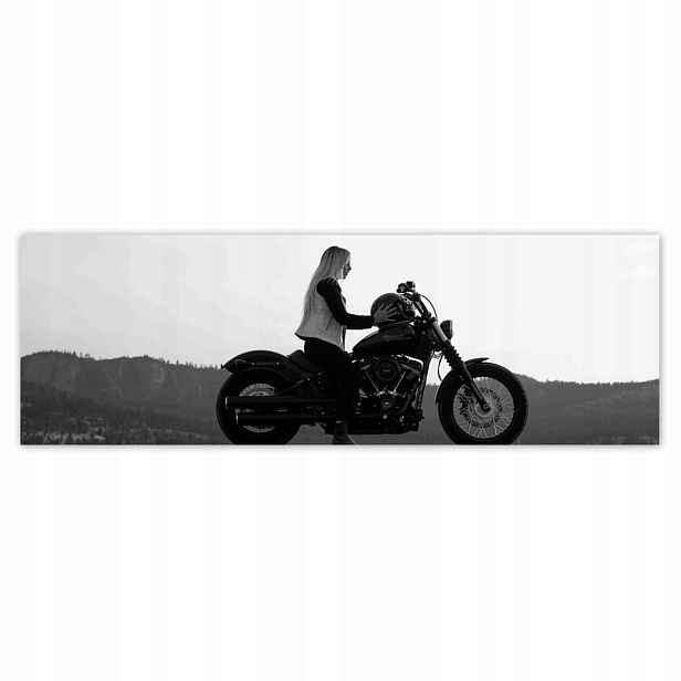 Plakáty 200x66 Harley Davidson Motocykl