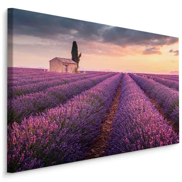 Plátno Kvetoucí Levandulové Pole Provence Varianta: 120x80