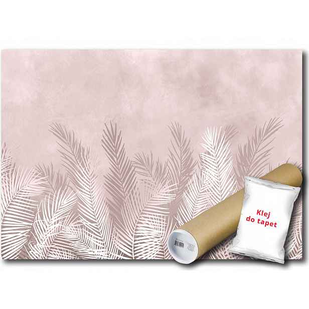 Vinylová Fototapeta Listy Palma Beton 152x104