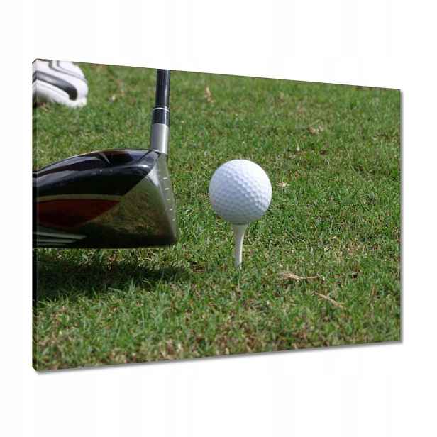 Obrazy 80x60 Golf