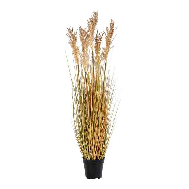 Umělá tráva (výška 110 cm) Sorghum – House Nordic