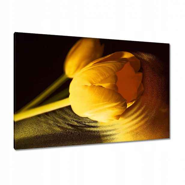 Obrazy 120x80 Žluto-zlatý tulipán