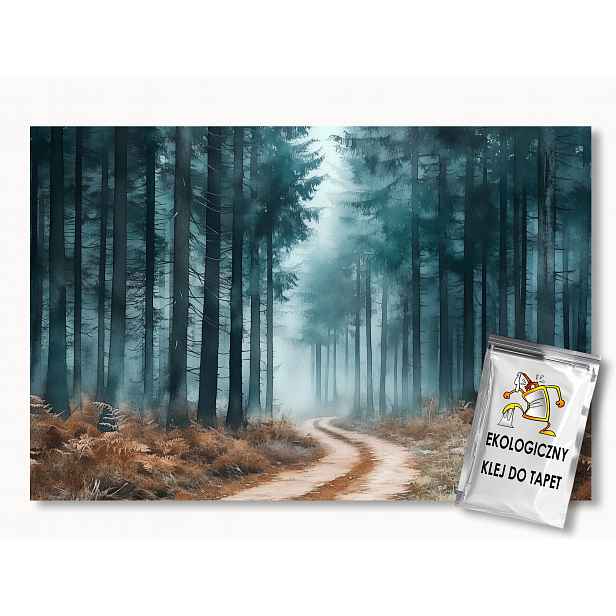 Fototapeta Flizelina Krajina Les Stromy Cesta Stezka 312x219 130g