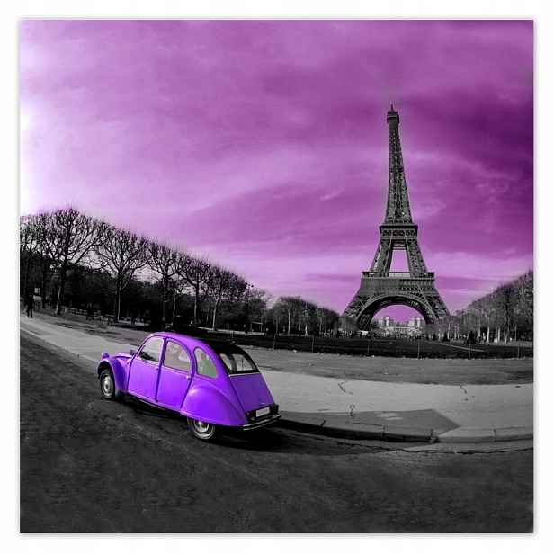 Plakáty 140x140 Fialový Citroen