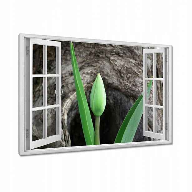 Obrazy 90x60 Zelený tulipán