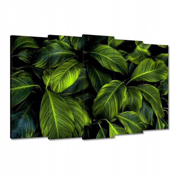 Obrazy 150x95 Krásné zelené listy
