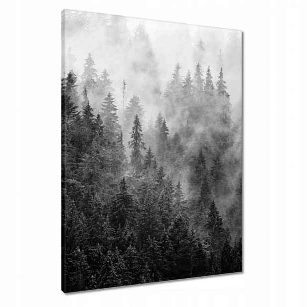 Obrazy 60x80 Krajina Šedá Hory Mlha