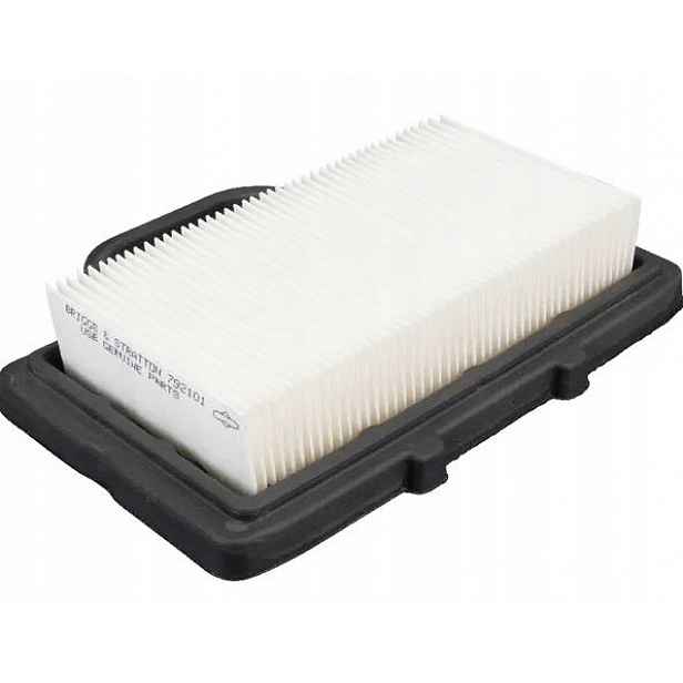 Filtr vzduchu Briggs&Stratton Intek V-Twin