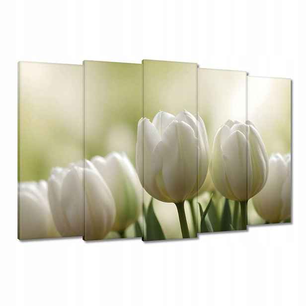 Obrazy 150x95 Bílé tulipány
