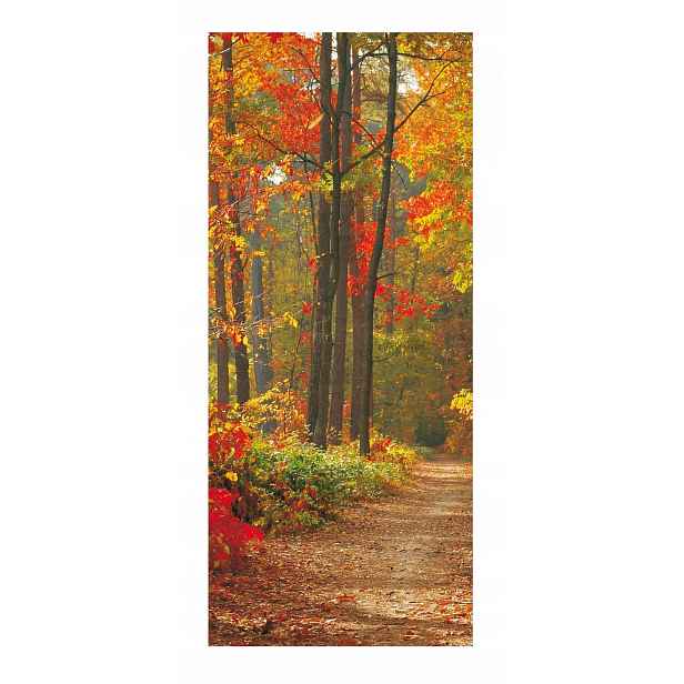 Fototapeta samolepicí dýha na dveře, samolepka