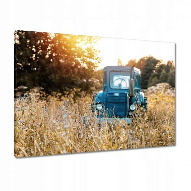 Obrazy 100x70 Historický traktor na louce