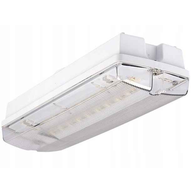 Nouzové svítidlo Orion II 100 4W 3h Sa At IP65 So