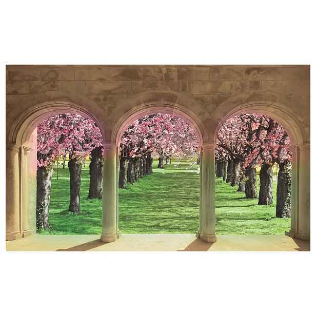 Fototapeta Oblouky Růžová zahrada květiny vinylová 254x184 lepidlo