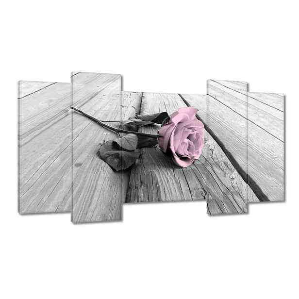 Obrazy 120x65 Pudrová růžová Old pink Rose