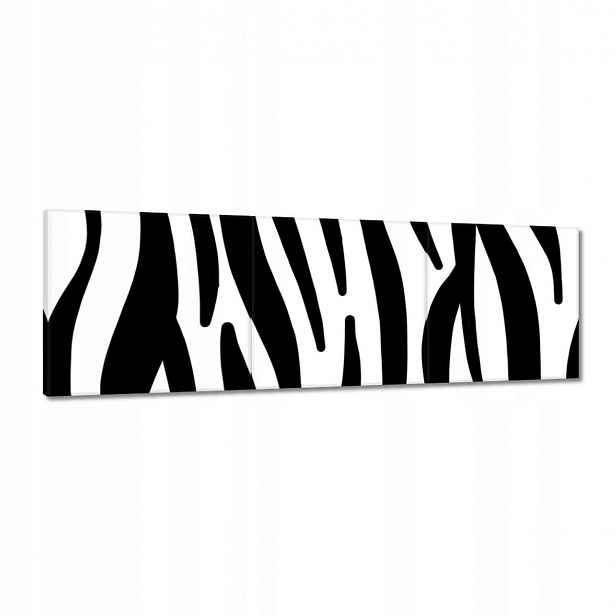 Obrazy 120x40 Zebra Pruhy
