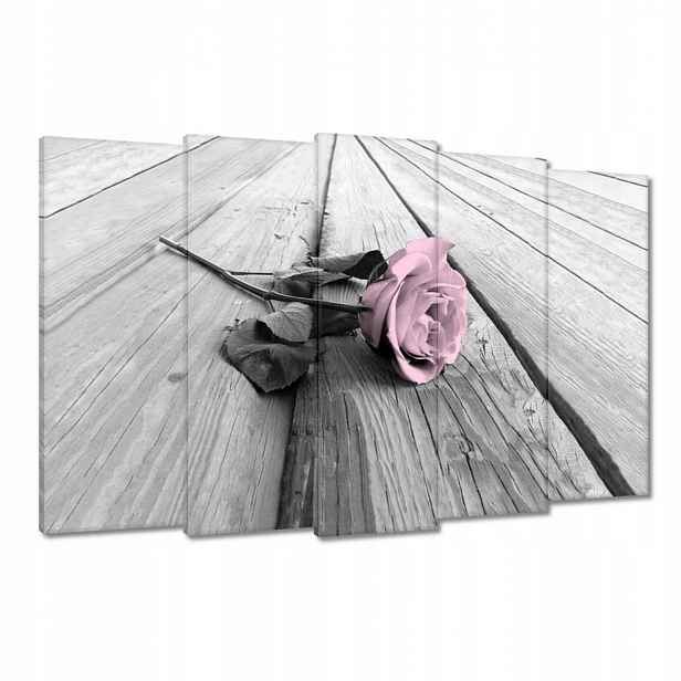 Obrazy 150x95 Pudrová růžová Old pink Rose