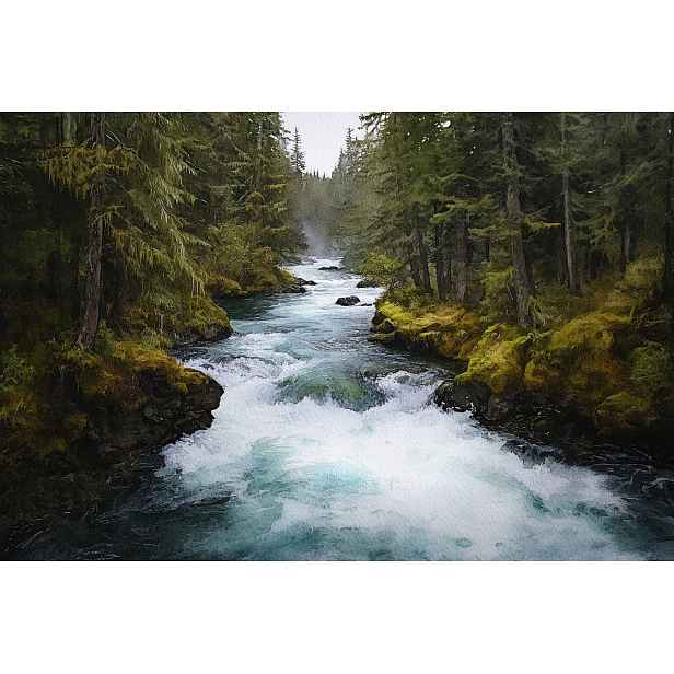 Fototapeta Flizelina Krajina Les Stromy Řeka Nurt 368x254 130g