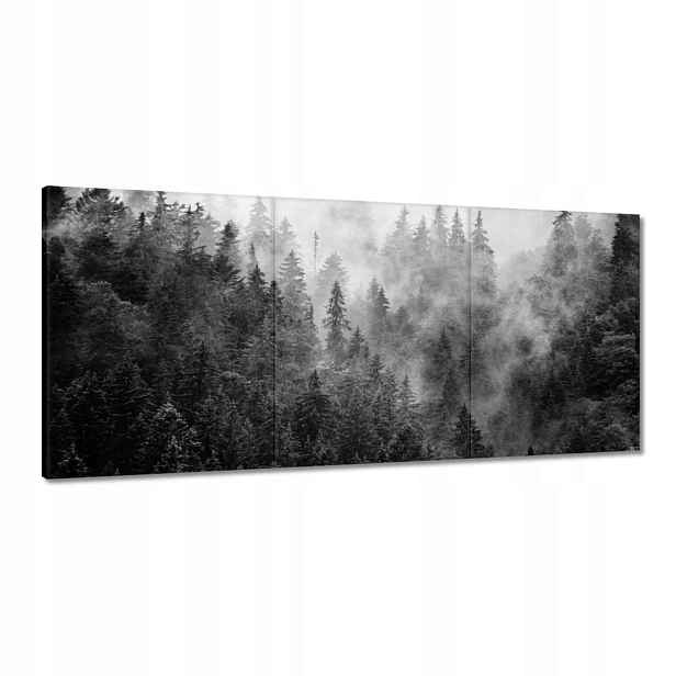 Obrazy 150x70 Krajina Šedá Hory Mlha