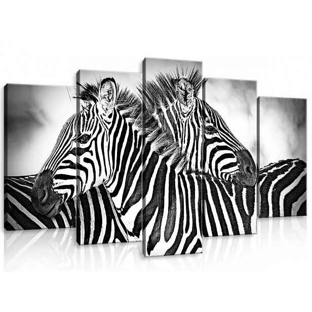 Obraz Na Plátně Canvas 100x60 Zvířata Zebra Pár B&w Příroda