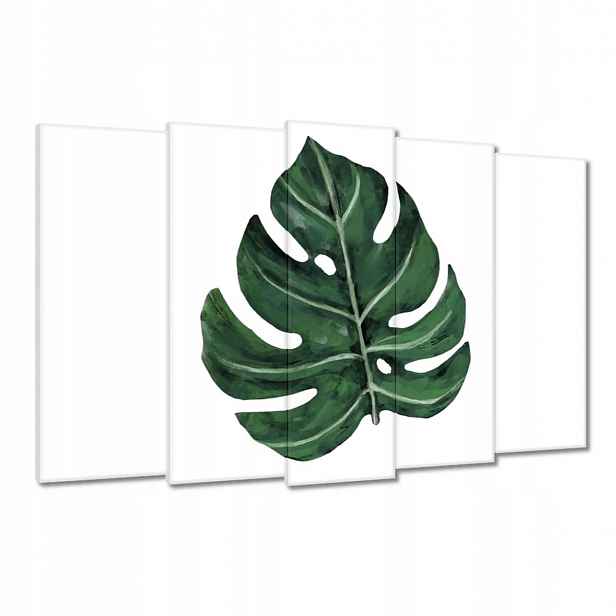 Obrazy 150x95 Monstera Zelený list