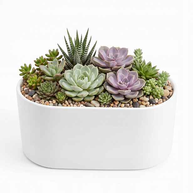 Obal Na Květináč Keramický květináč bílý lesk orchideje kaktusy sukulenty 26,5 cm