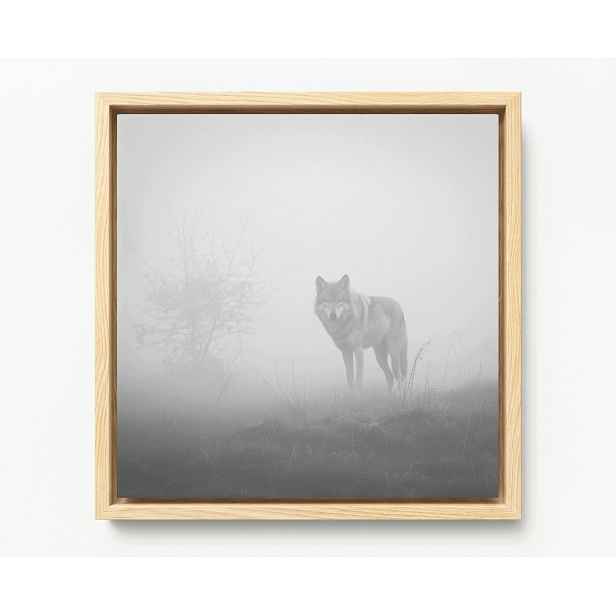 Obraz Rám Americký Box Příroda Vlk Mlha Dravec Šedá Příroda 60x60