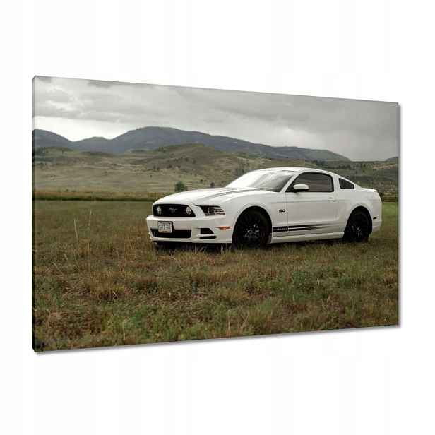 Obrazy 120x80 Bílý Ford Mustang