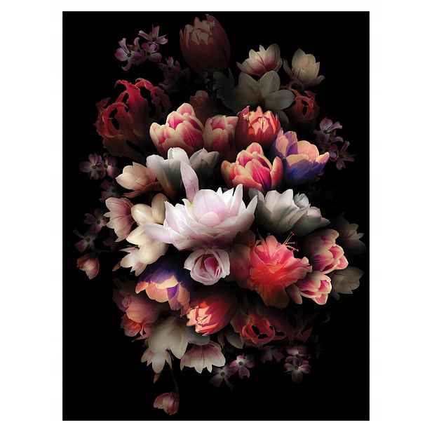 Fototapeta Černé tulipány pivoňky s květinami na černém pozadí 184x254 lepidlo