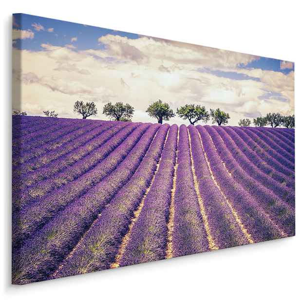 Plátno Levandulové Pole I. Varianta: 120x80