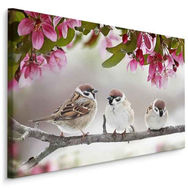 Plátno Vrabci Ptáci Varianta: 90x60