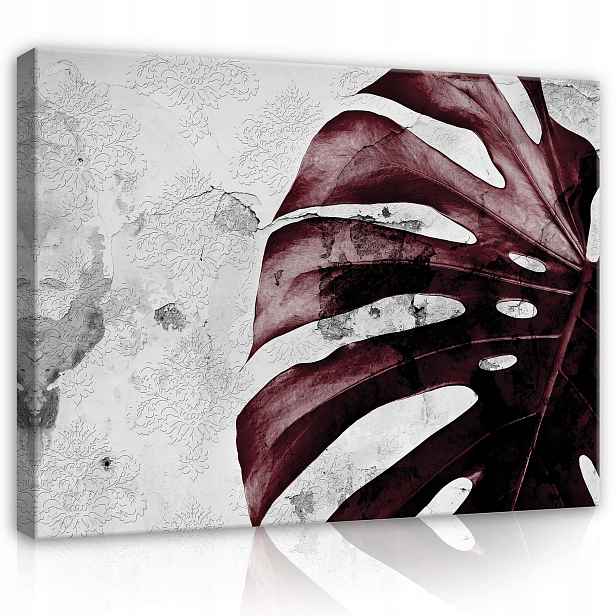 Obraz 100x75 Monstera list bordó vintage textura abstrakce botanika