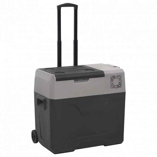 vidaXL Chladicí box s kolečky a rukojetí černý a šedý 50 l PP