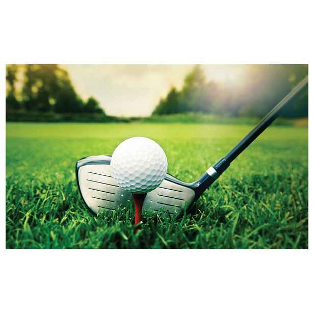 Flízovaná fototapeta Golf Hra na trávě slunce relax míč 368x254 lepidlo