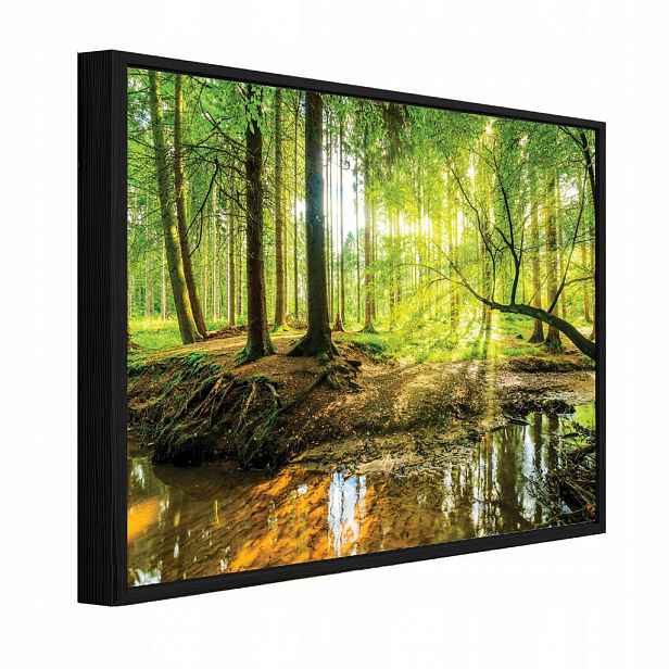 Wallarena ZARÁMOVANÉ obrazy les stromy zelená 100x70 cm