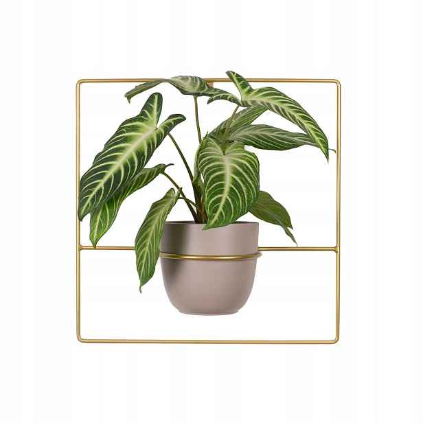Držák Na Květináč Pilea+ nástěnný závěsný kovový zlatý