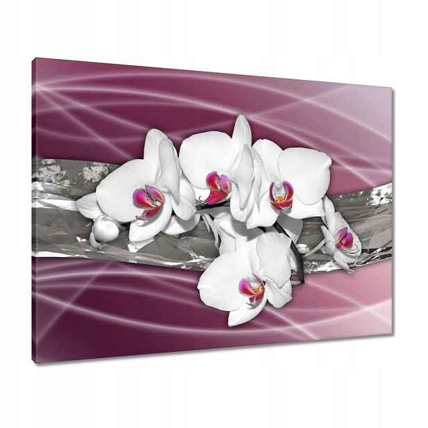 Obrazy 80x60 Bílé orchideje na růžovém pozadí