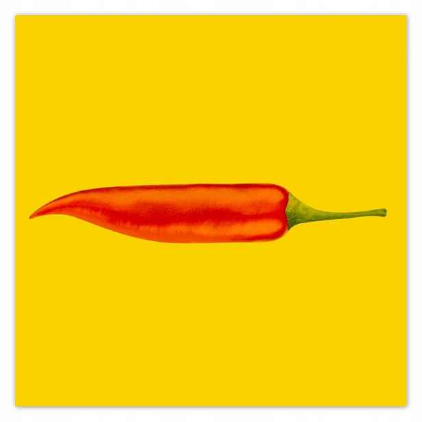 Plakáty 140x140 Červená chilli paprička