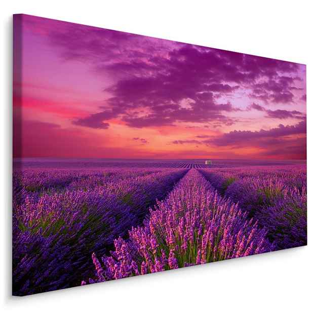 Plátno Levandulové Kvetoucí Pole V Provence Varianta: 70x50