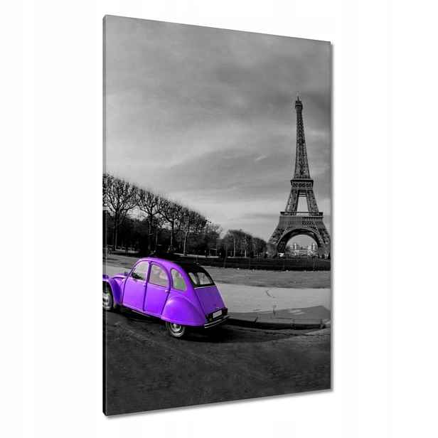 Obrazy 80x120 Fialové autíčko v Paříži