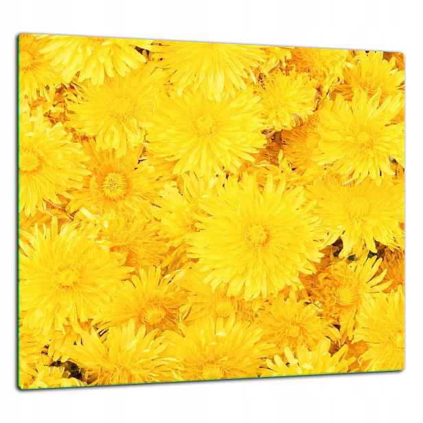 Skleněná Ochranná Deska Panel Lepidlo 65x60 Květiny