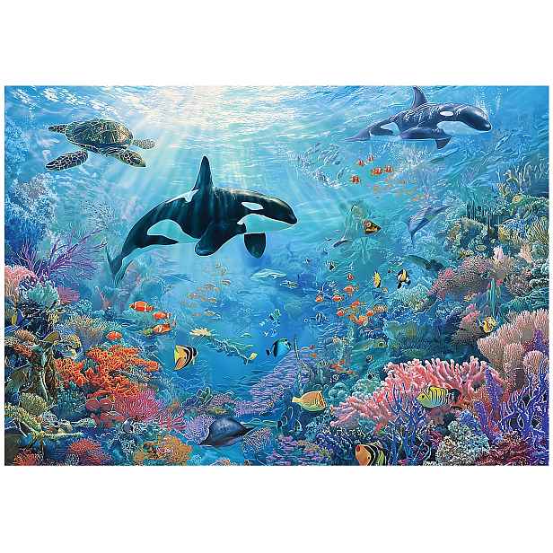 Fototapeta Pro Děti Oceán Korálový Útes Želvy Tapeta Pro Děti 150x105